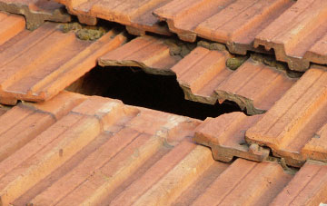 roof repair Bryn Celyn