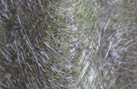 Bryn Celyn fibreglass roof work